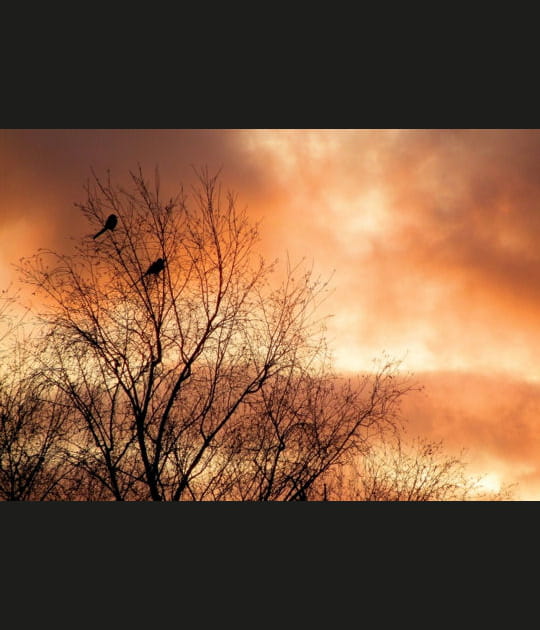Fin de soir&eacute;e &agrave; Dijon