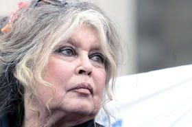 Brigitte Bardot oblig&eacute;e de d&eacute;mentir la rumeur de son d&eacute;c&egrave;s&nbsp;: &quot;Je n'ai pas l'intention de tirer ma r&eacute;v&eacute;rence&quot;