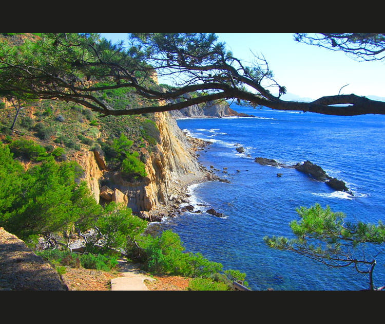 La C&ocirc;te Bleue, paradis des amateurs de plong&eacute;e