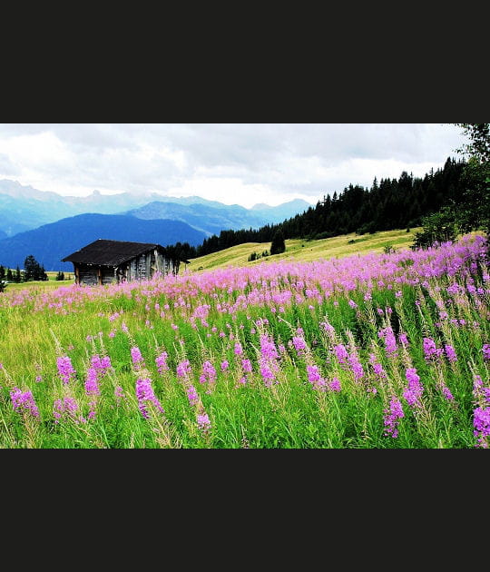 Le col des Saisies