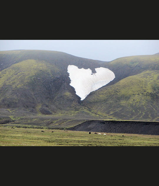 C&oelig;ur de glace