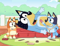 Bluey : La souche enchantée