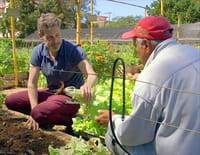 Habiter le monde : Cuba, La Havane, ville-potager