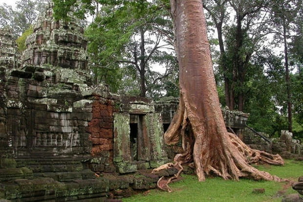 Un goût de mystère