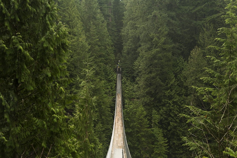 Pont suspendu de Capilano