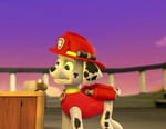 Paw Patrol, la Pat'Patrouille