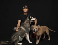 Dog Impossible : Remue-ménage