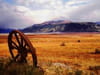vignette argentine photo