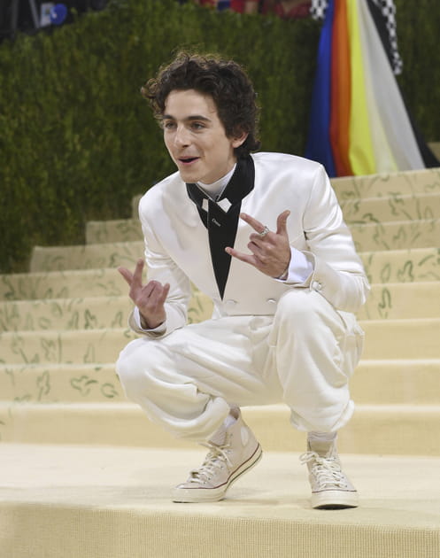 Timoth&eacute;e Chalamet, acteur &agrave; l'affiche de Dune