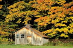 vignette octobre