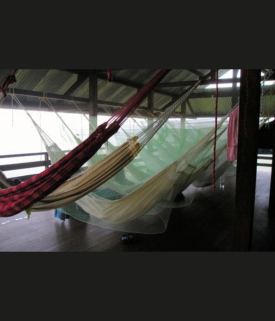 D&eacute;tente &agrave; Cacao