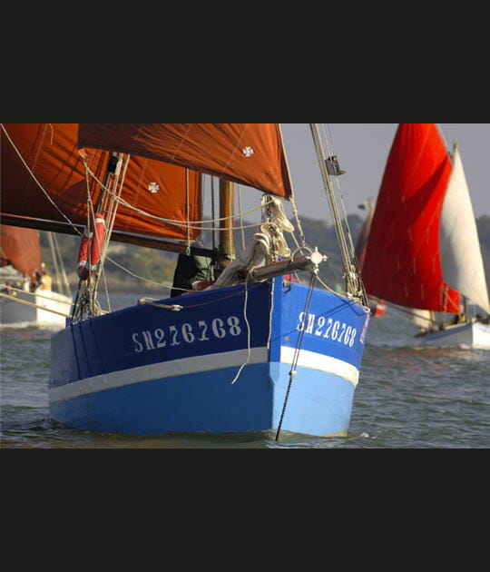 Semaine du Golfe&nbsp;: la f&ecirc;te morbihannaise