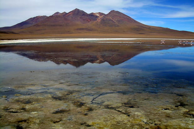 Le Laguna Colorada, réserve nationale de la faune andine