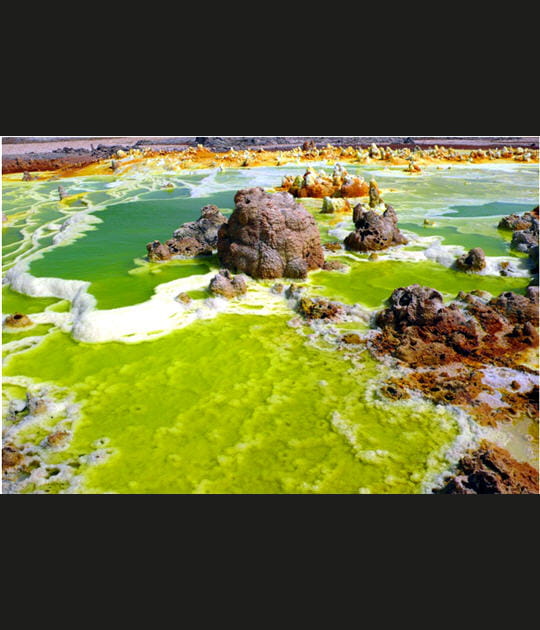 Algue pollueuse&nbsp;?