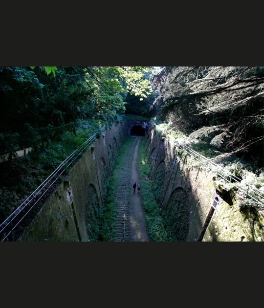 La petite ceinture