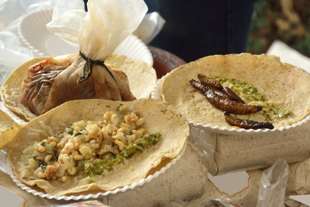 Les escamoles au Mexique