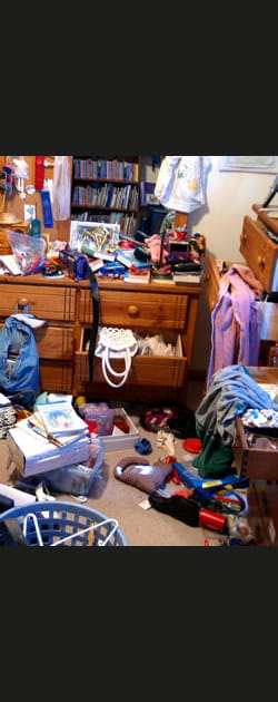 La femme au foyer