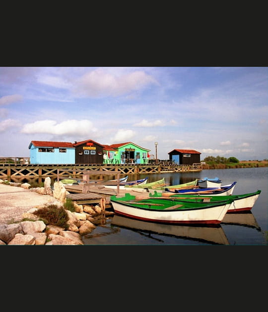 Couleurs de Charentes-Maritimes