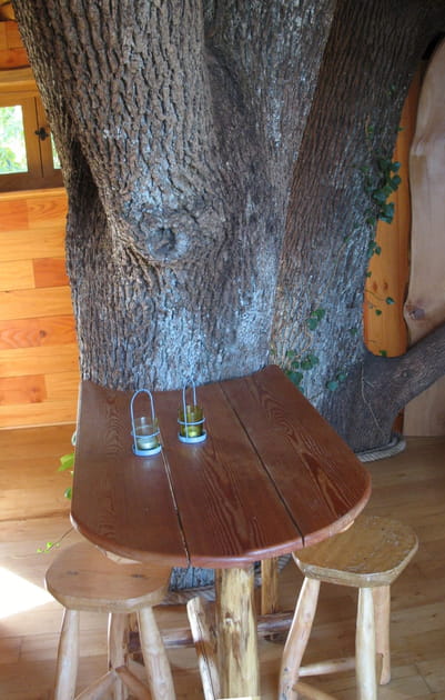Une v&eacute;ritable maison dans les arbres