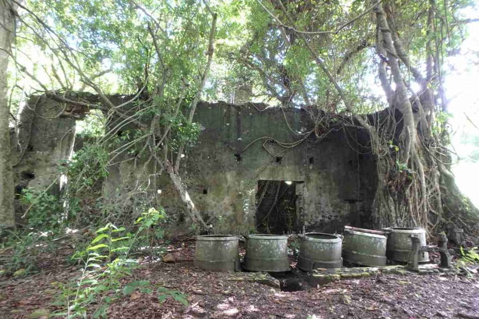 La sucri&egrave;re Soulou (Mayotte)