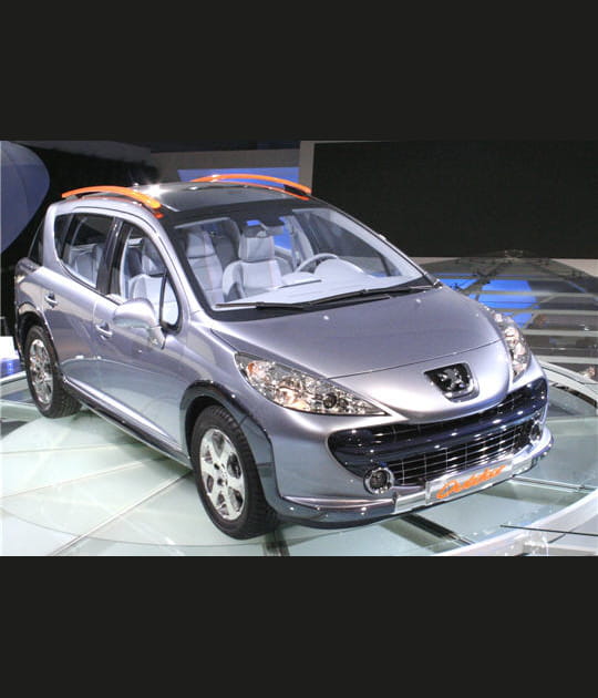 Peugeot 207&nbsp;Outdoor