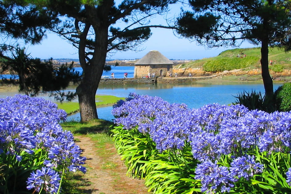Br&eacute;hat, une &icirc;le aux fleurs et aux rochers roses