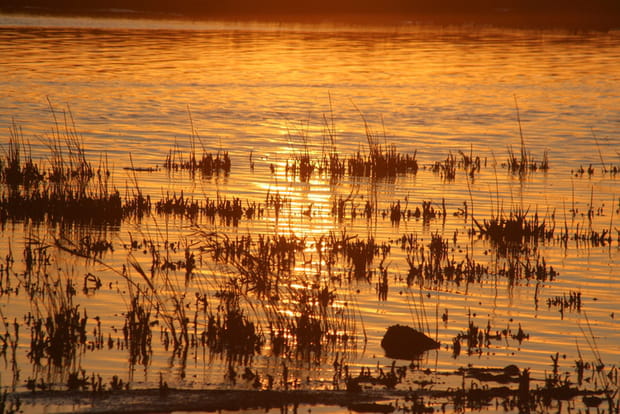 Lumière du soir