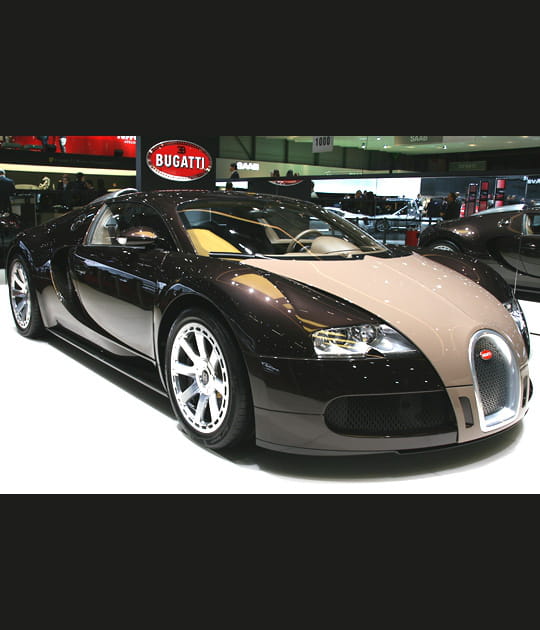 Bugatti Veyron Herm&egrave;s