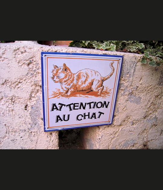 Sortie de secours