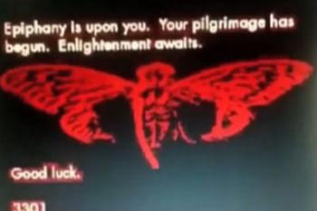 Zapping TV : Cicada 3301, la mystérieuse organisation secrète