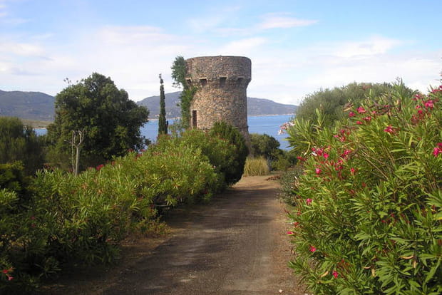 La tour génoise de Propriano