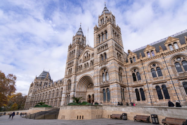 De bonnes idées pour profiter de Londres, même sous la pluie : Voir le T-rex du Natural History Museum