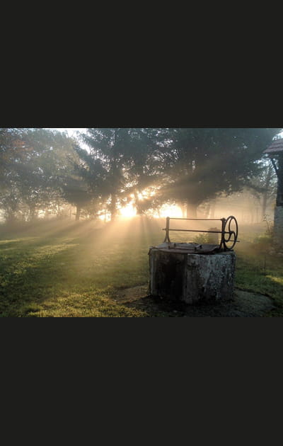 Brume et soleil