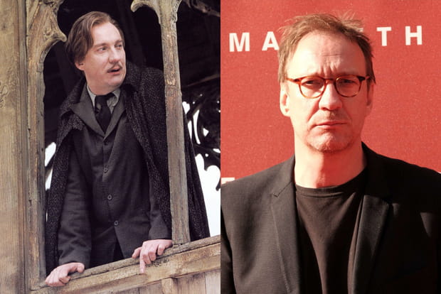 David Thewlis au cinéma