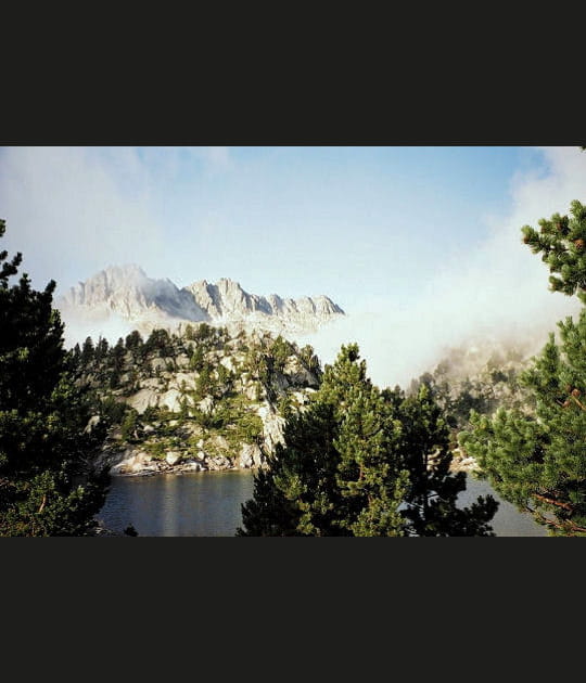 Dans la brume des Pyr&eacute;n&eacute;es