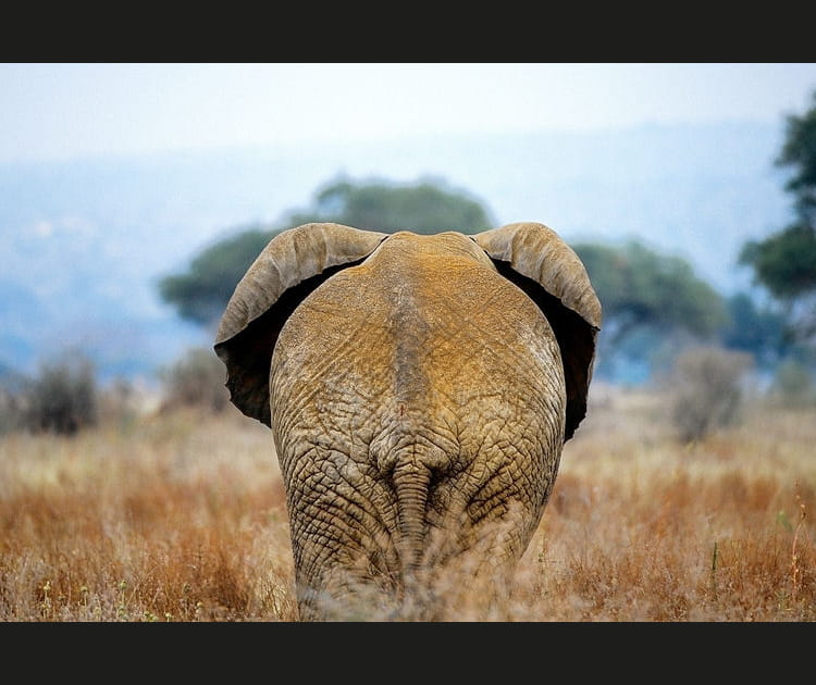 L'image de juin 2015