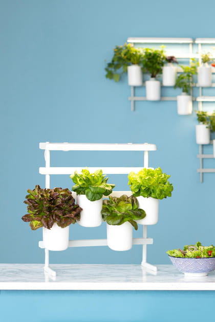 On installe un potager d'int&eacute;rieur