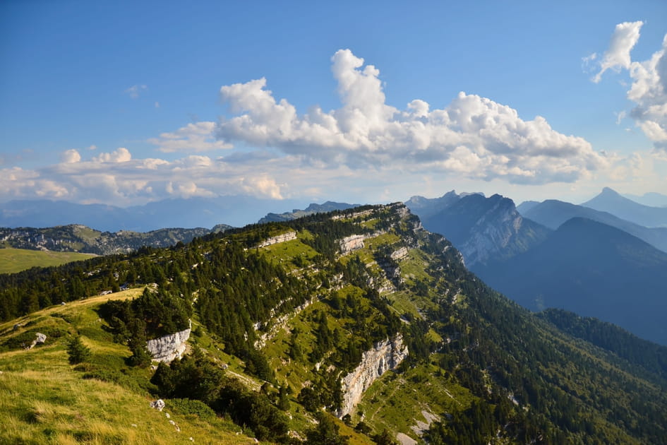 Sangle en Chartreuse