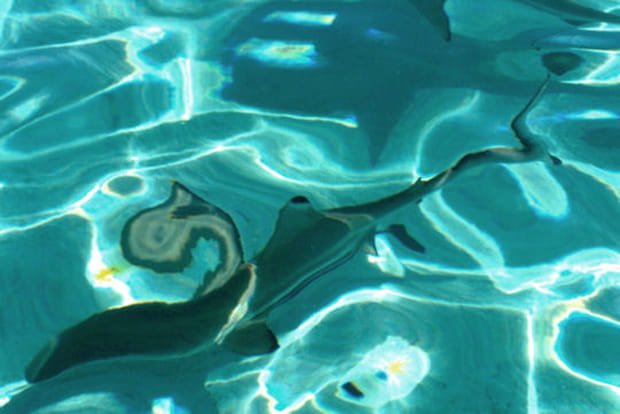 Les eaux du lagon de Moorea