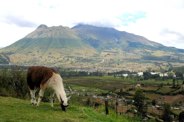 Sur les pentes de la Sierra d'Equateur