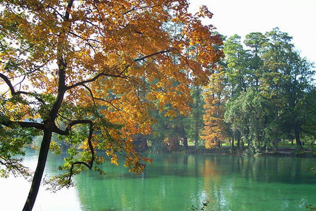 La campagne automnale à Lyon