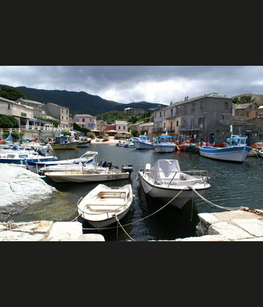 Les langoustes de Centuri