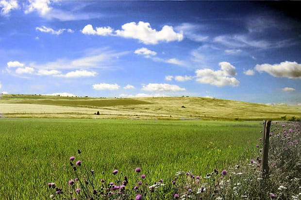 Le plateau du Larzac