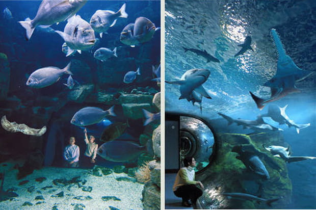 De l'autre côté de la paroi