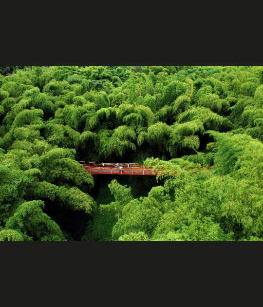 Le paysage culturel du caf&eacute; de&nbsp;la&nbsp;Colombie