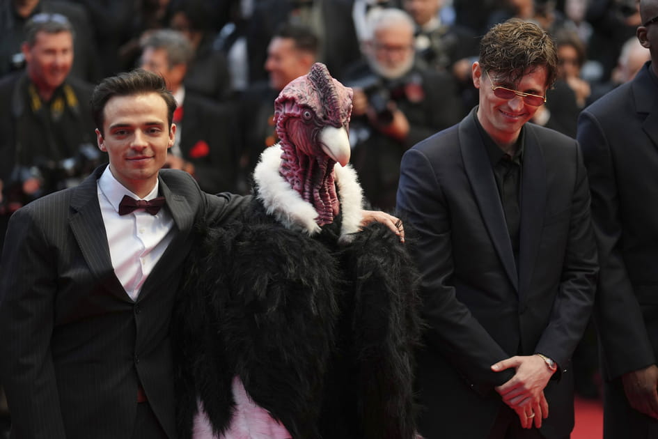 Un Condor a mont&eacute; les marches du Festival de Cannes