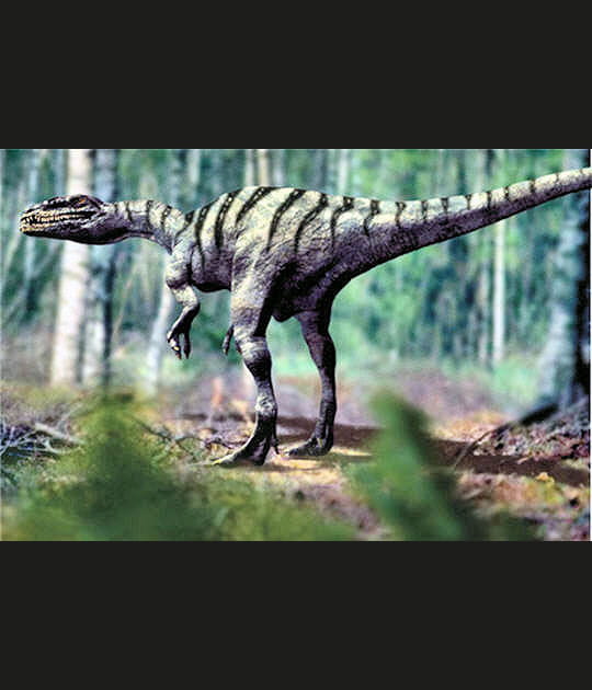 Un f&eacute;roce carnivore