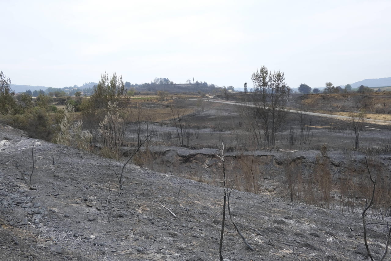 DIRECT. Incendie dans l'Aude : le feu fixé, mais une inquiétude persiste