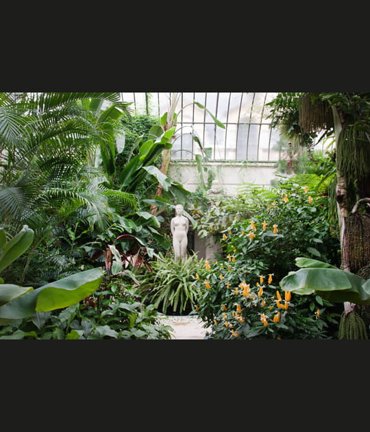 Le jardin d'hiver