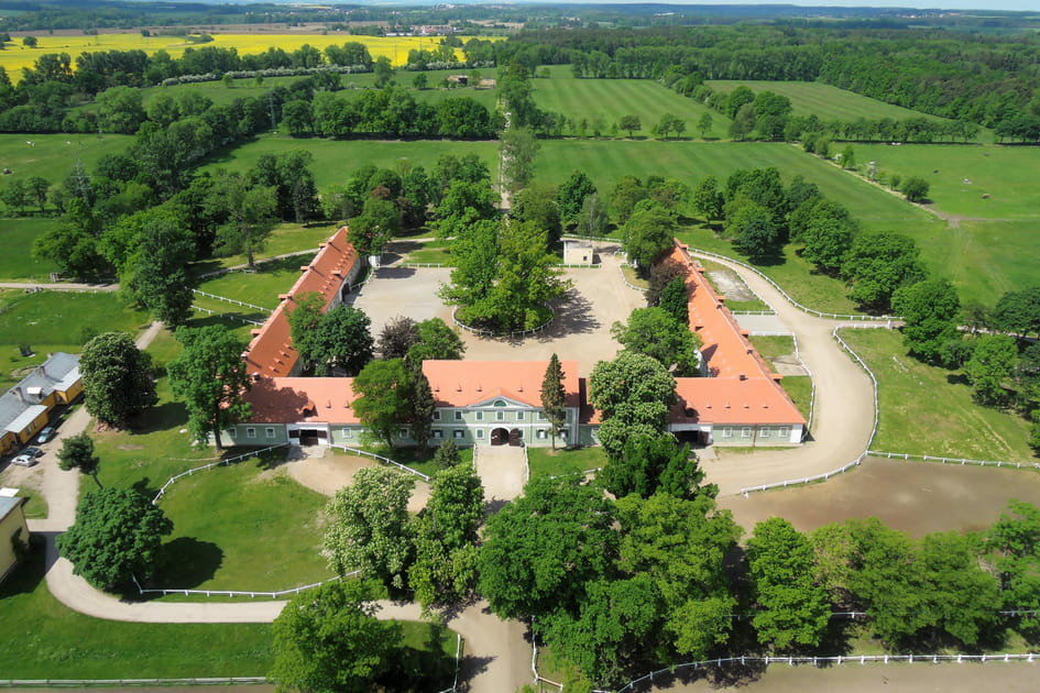 Paysage d'&eacute;levage et de dressage de chevaux d'attelage c&eacute;r&eacute;moniels &agrave; Kladruby nad Labem en Tch&eacute;quie